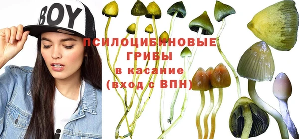 mix Горно-Алтайск