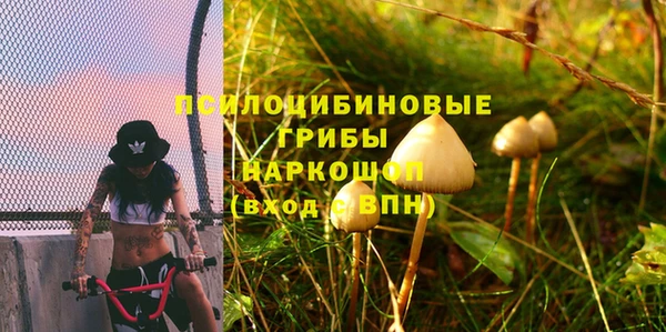 дмт Верея