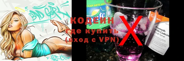 крисы Горняк