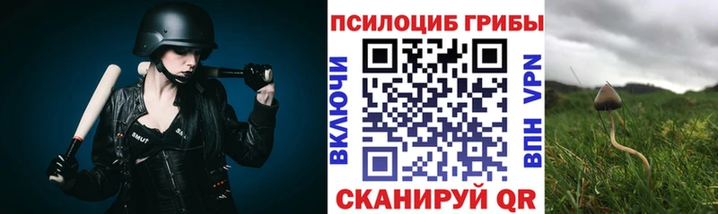 Галлюциногенные грибы мицелий  hydra как войти  Джанкой 